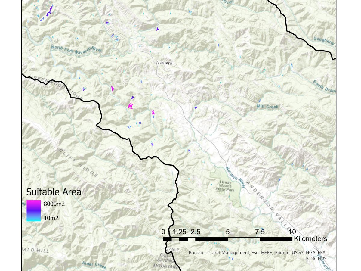 Marbled Murrelet Suitability&nbsp;Analysis