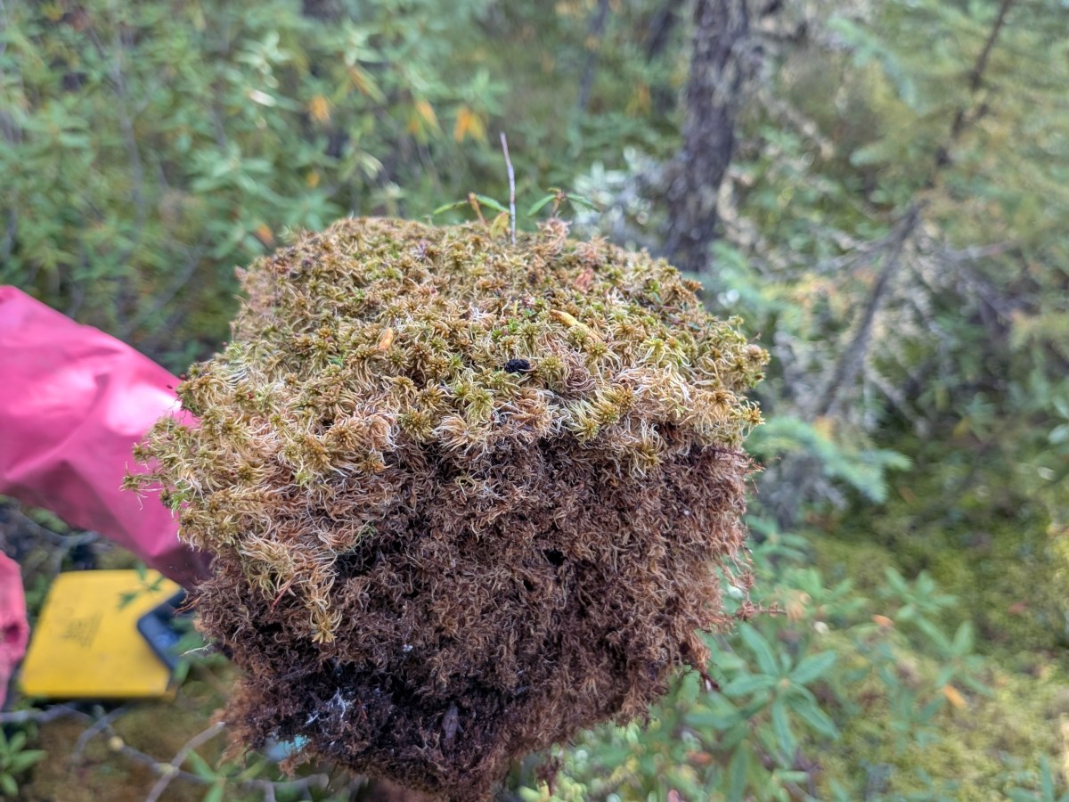 Soil Survey in northern&nbsp;Alberta