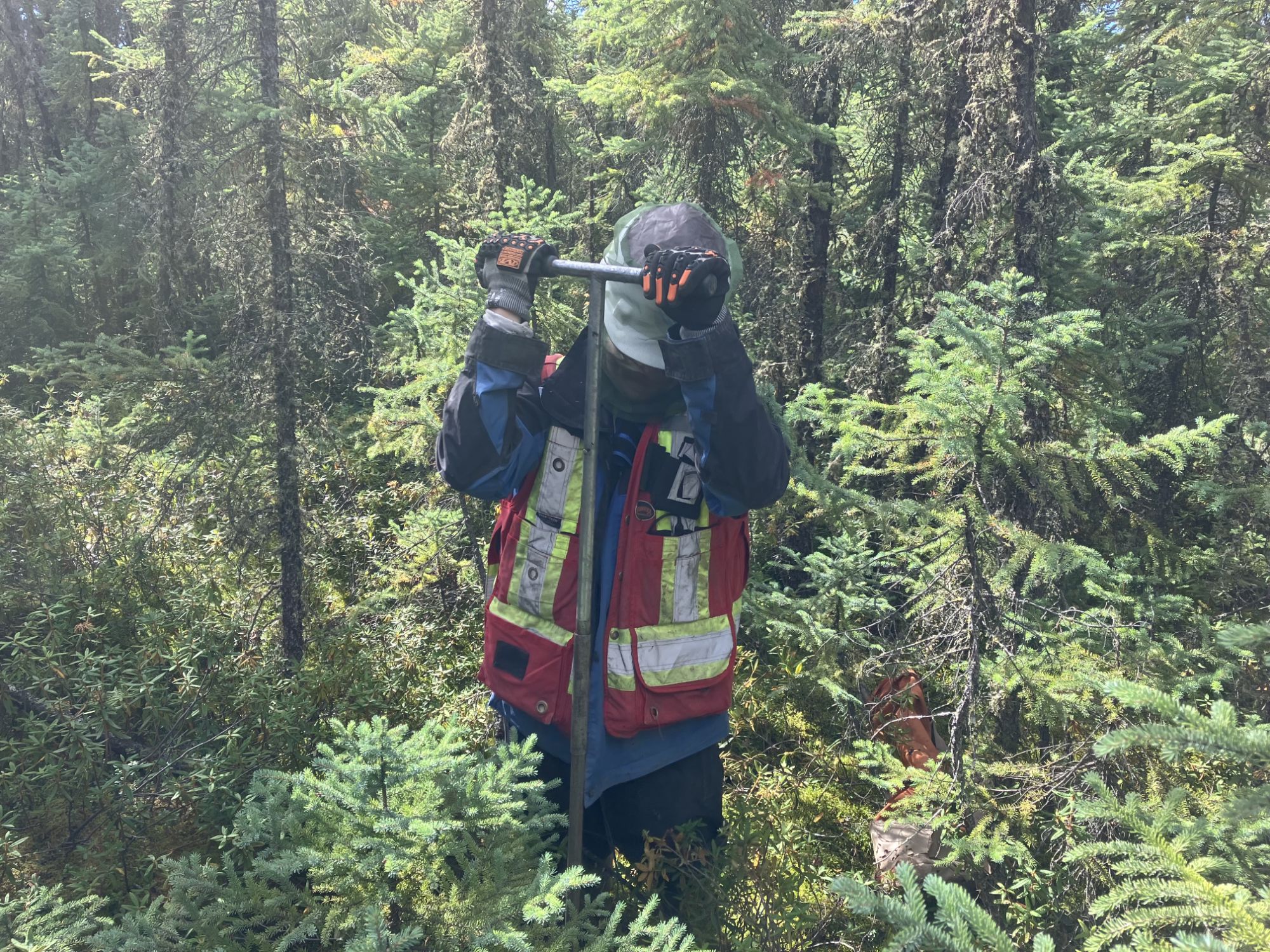 Soil Survey and Wildlife Sweeps: Where do they&nbsp;intersect?