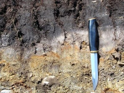 Digging into the USDA soil system: A translation for&nbsp;Canadians